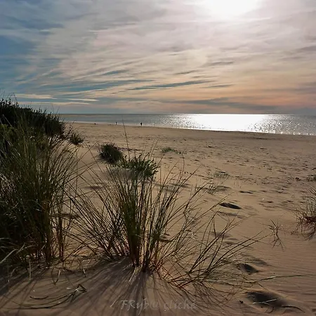 La Casita - Ronce Les Bains * La Tremblade